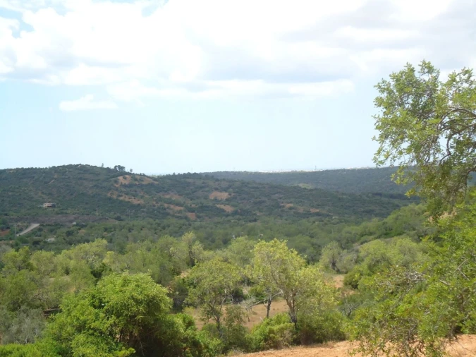 Terreno para Venda em Paderne Foto 6