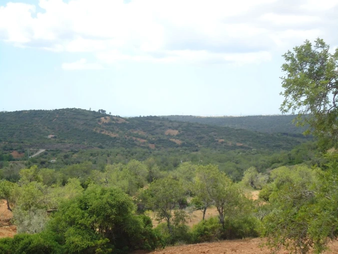 Terreno para Venda em Paderne Foto 7
