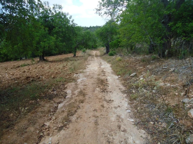 Terreno para Venda em Paderne Foto 15