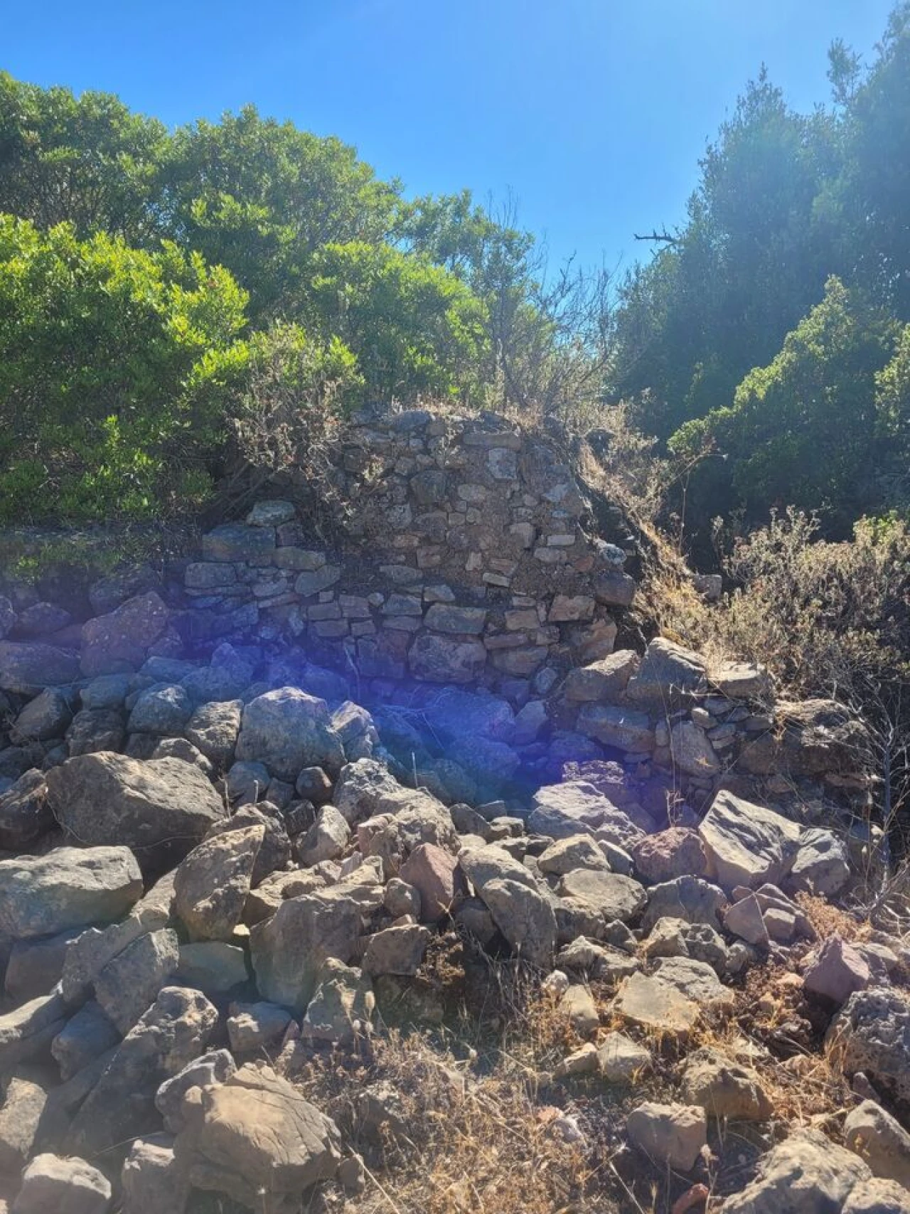 Terreno para Venda em São Bartolomeu de Messines Foto 6