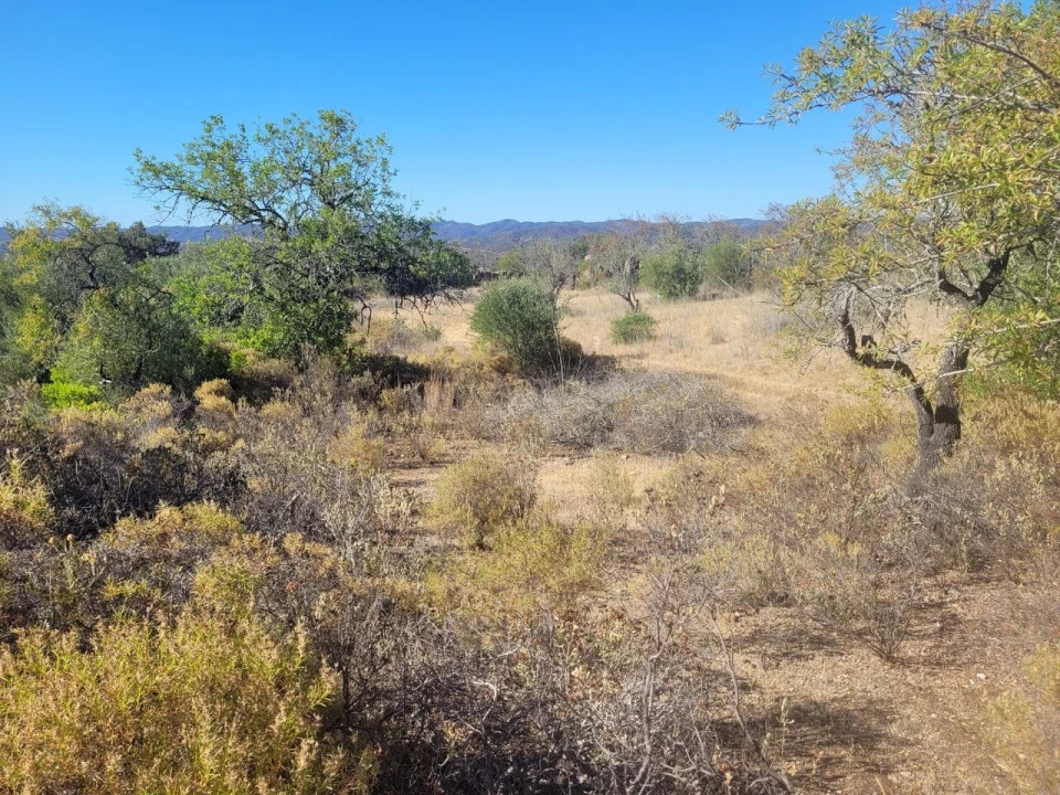 Terreno para Venda em São Bartolomeu de Messines Foto 10