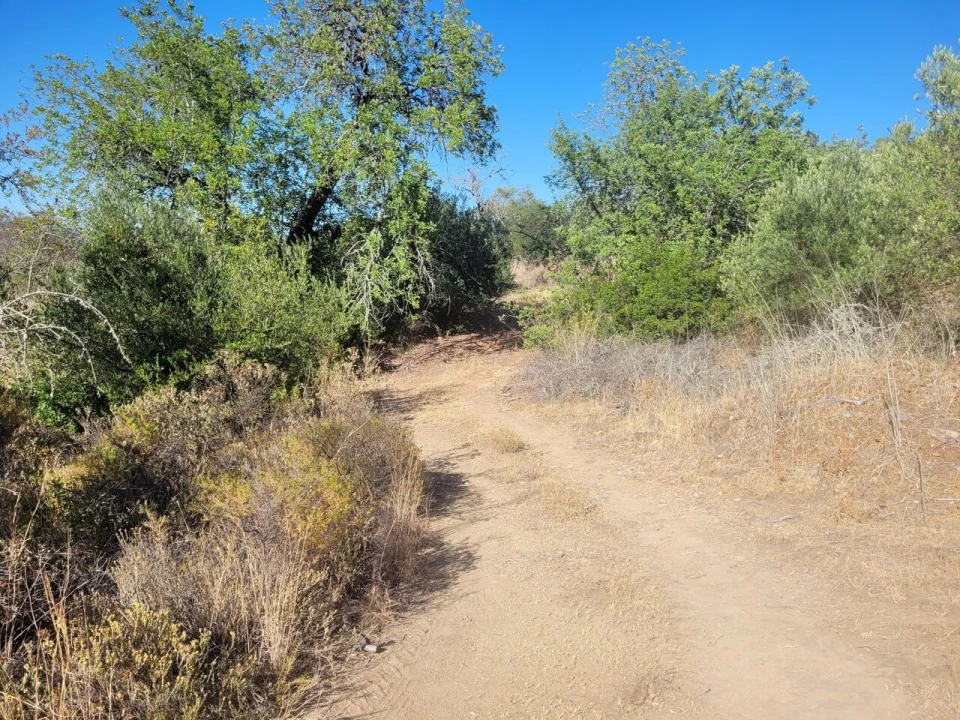 Terreno para Venda em São Bartolomeu de Messines Foto 11