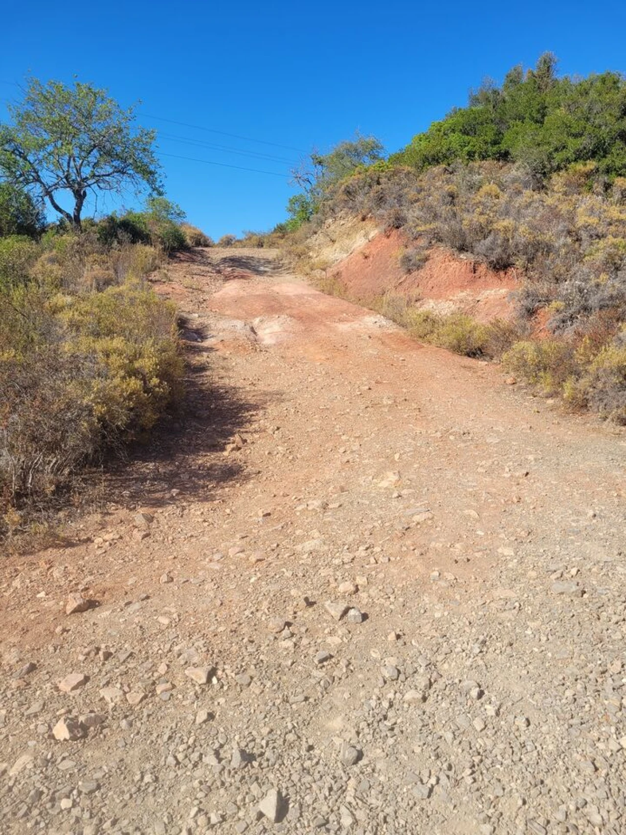 Terreno para Venda em São Bartolomeu de Messines Foto 14