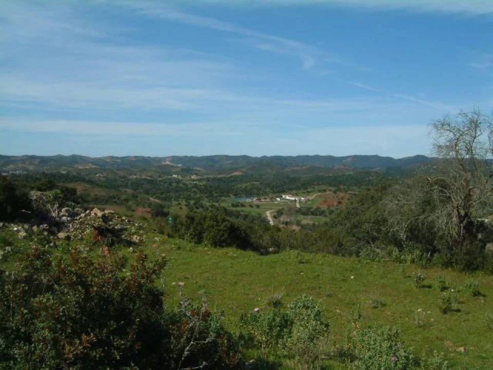 Terreno para Venda em São Bartolomeu de Messines Foto 3