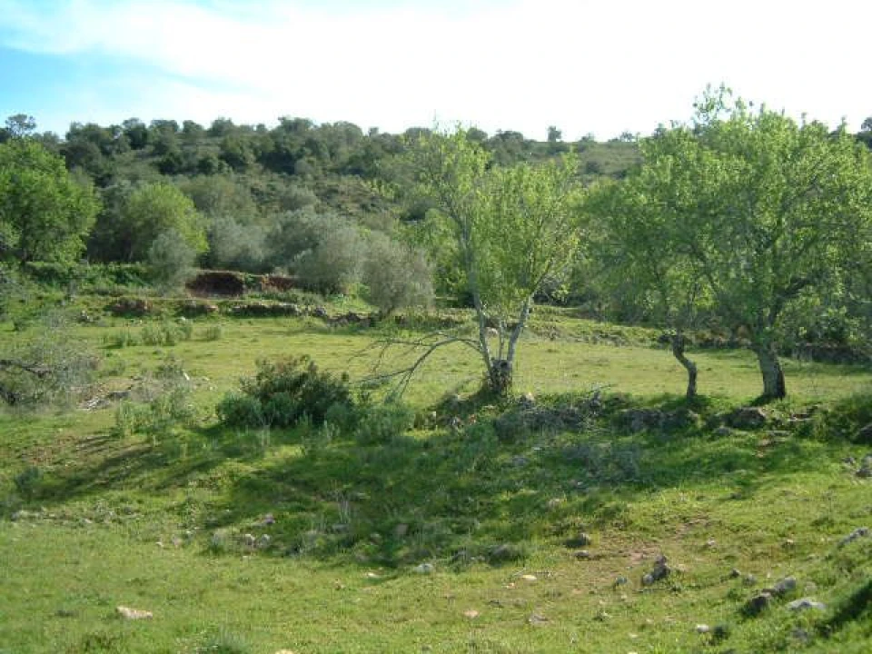 Terreno para Venda em São Bartolomeu de Messines Foto 4
