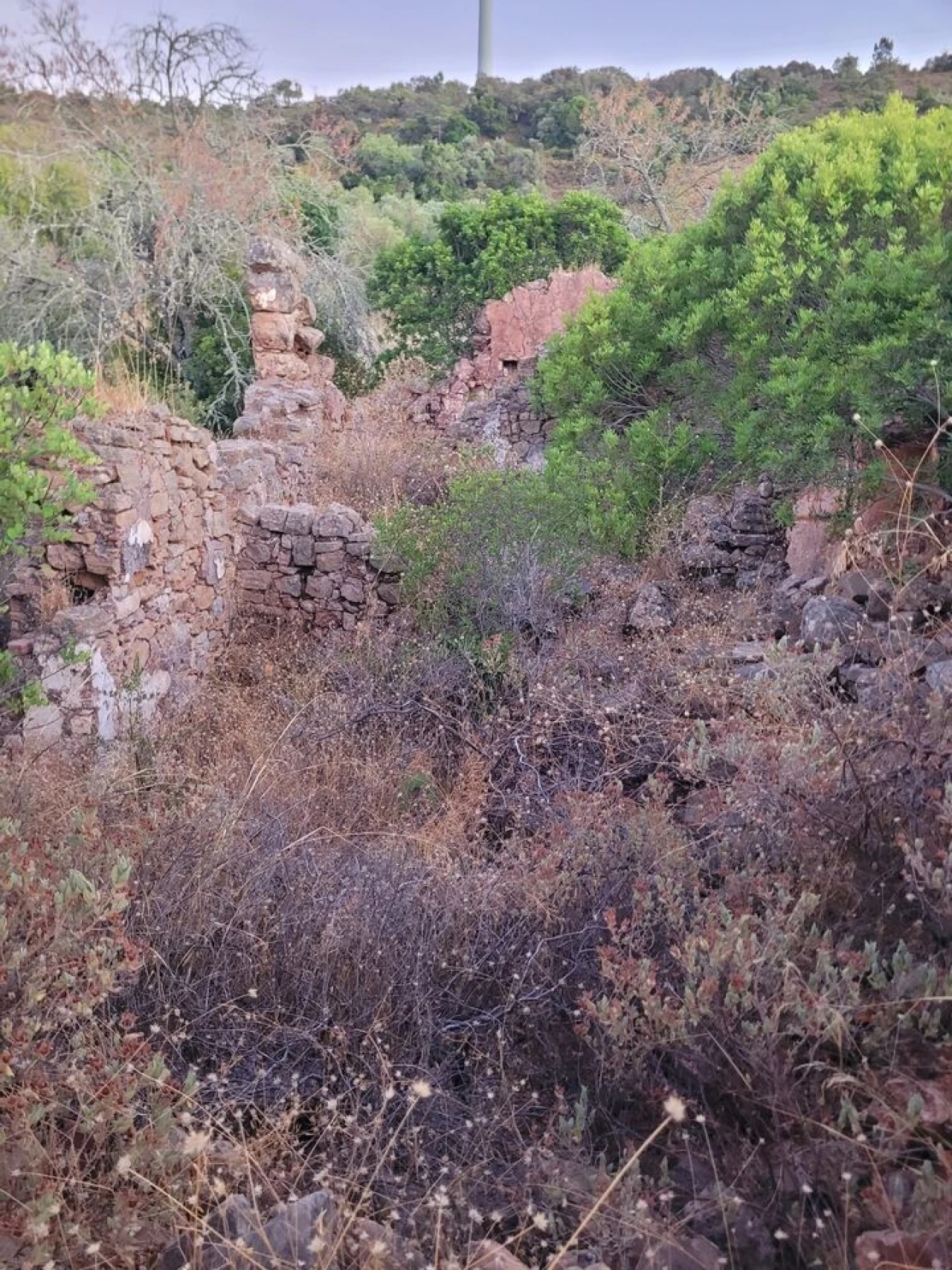 Terreno para Venda em São Bartolomeu de Messines Foto 17