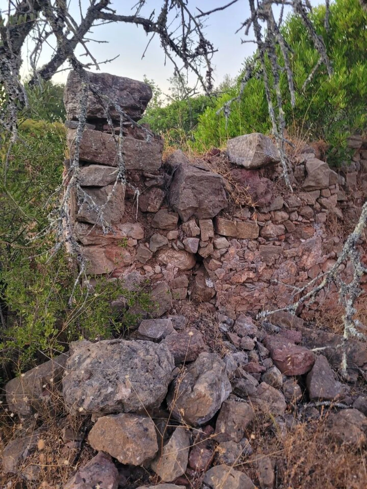 Terreno para Venda em São Bartolomeu de Messines Foto 19
