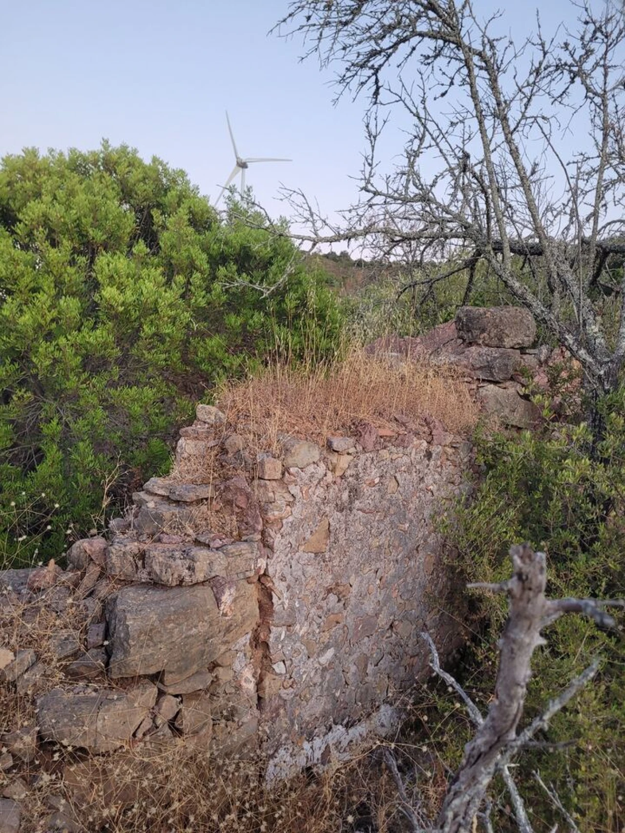 Terreno para Venda em São Bartolomeu de Messines Foto 23