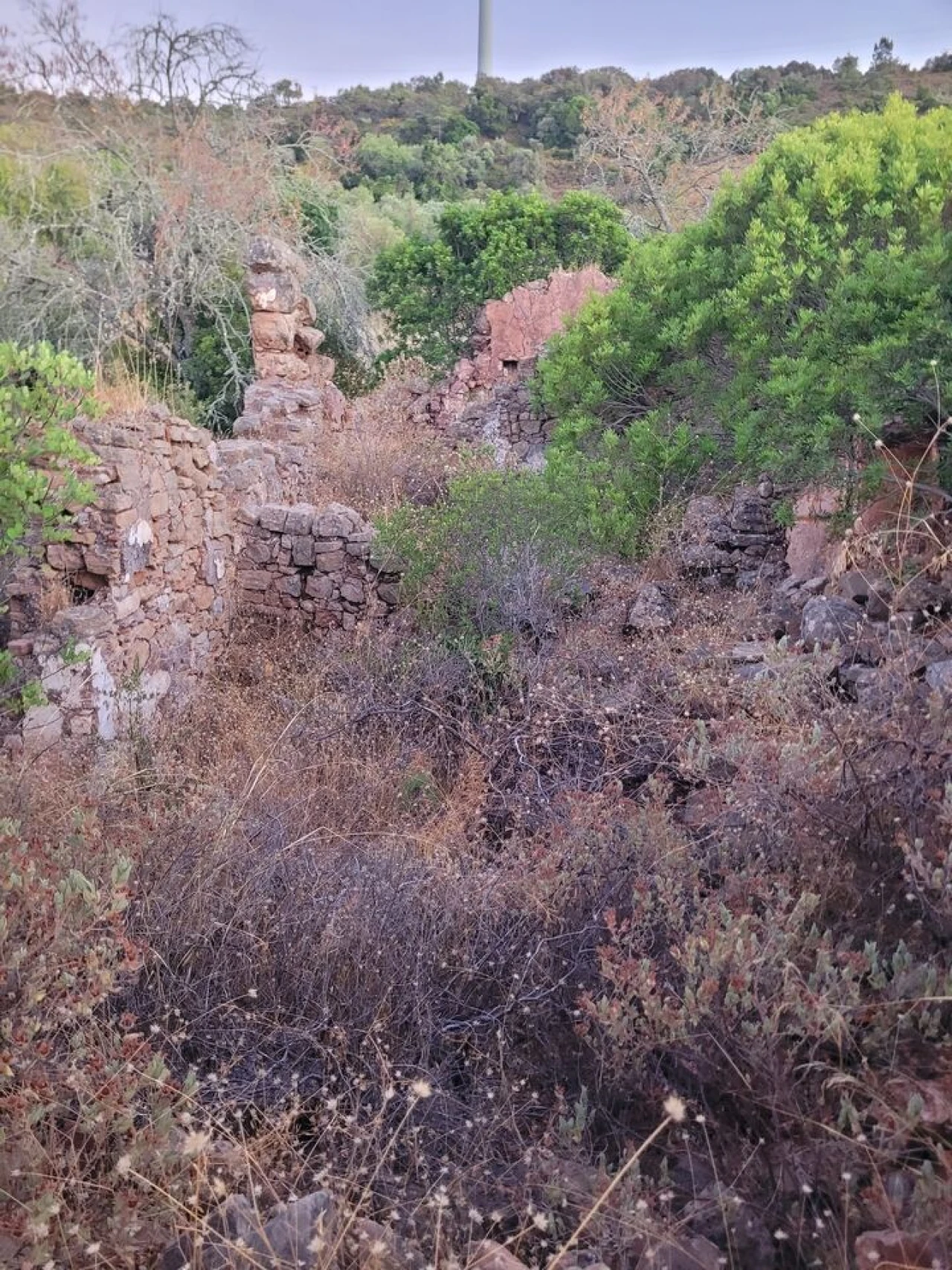 Terreno para Venda em São Bartolomeu de Messines Foto 27