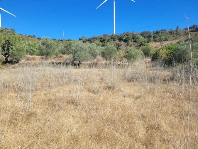Terreno para Venda em São Bartolomeu de Messines Foto 9