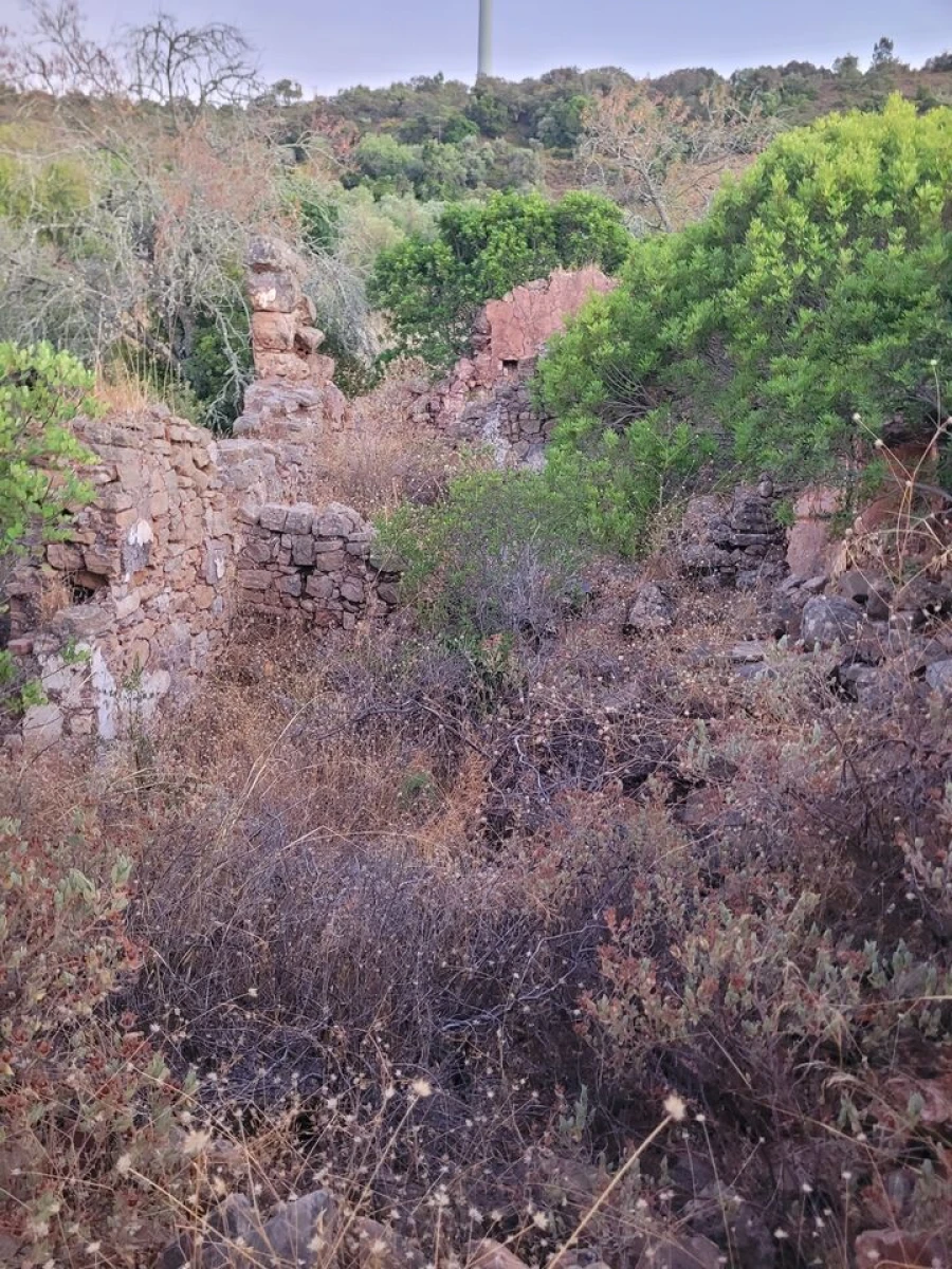 Terreno para Venda em São Bartolomeu de Messines Foto 17