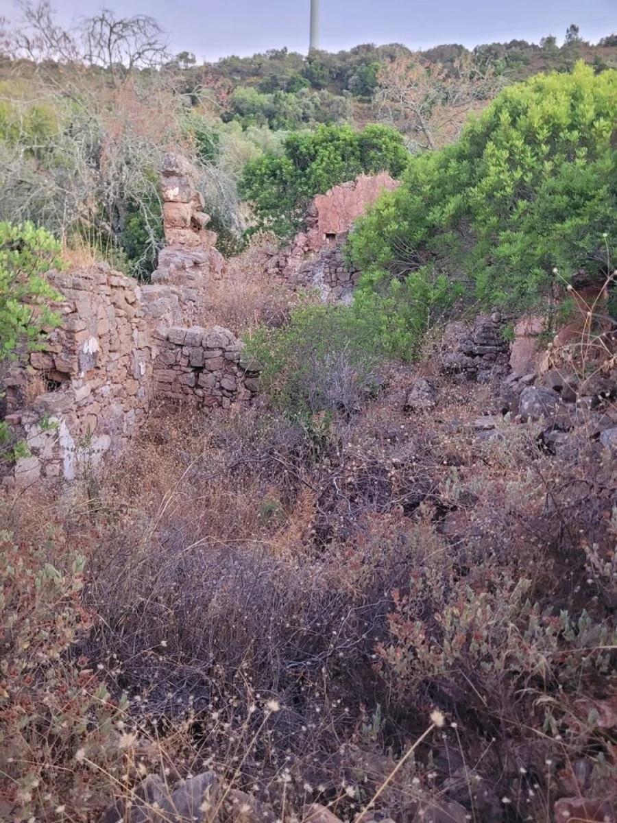 Terreno para Venda em São Bartolomeu de Messines Foto 27