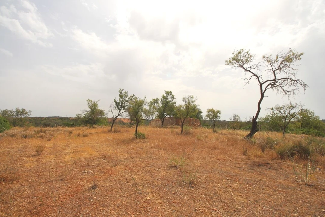 Quinta T2 para Venda em Ferreiras Foto 19