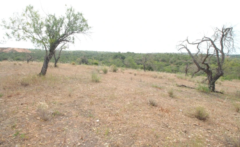 Quinta T2 para Venda em Ferreiras Foto 5