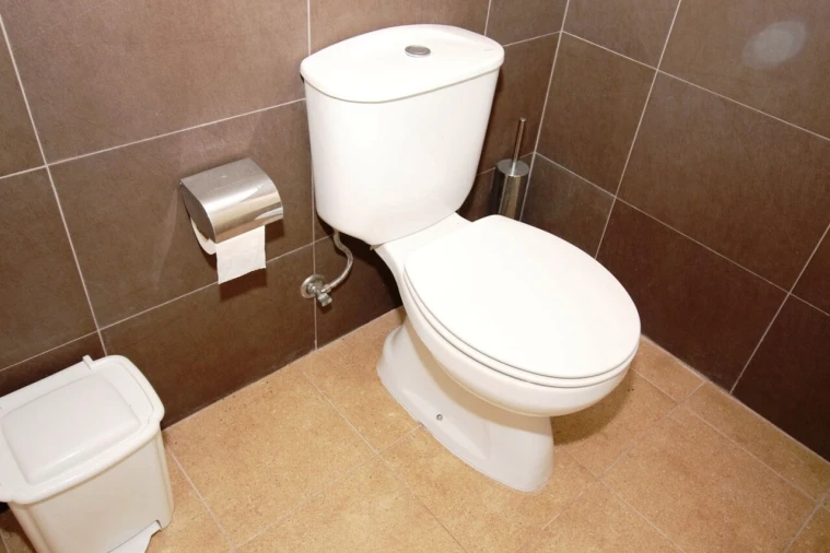 Loja para Venda em Silves Foto 17