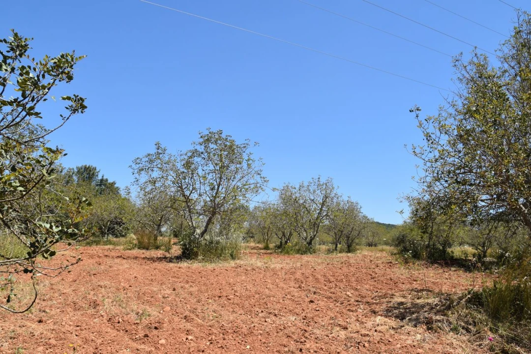 Terreno para Venda em Paderne Foto 1