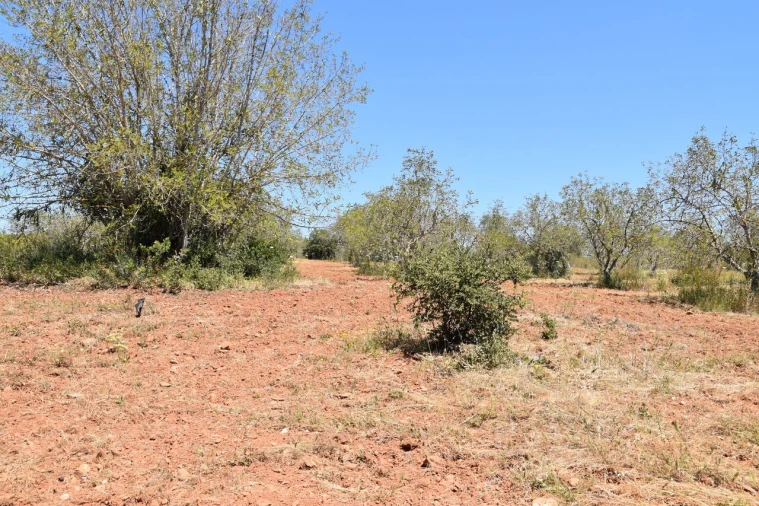 Terreno para Venda em Paderne Foto 3