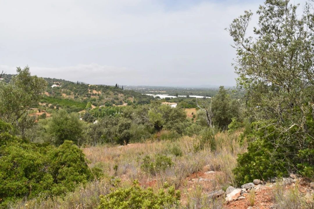 Terreno para Venda em Paderne Foto 2