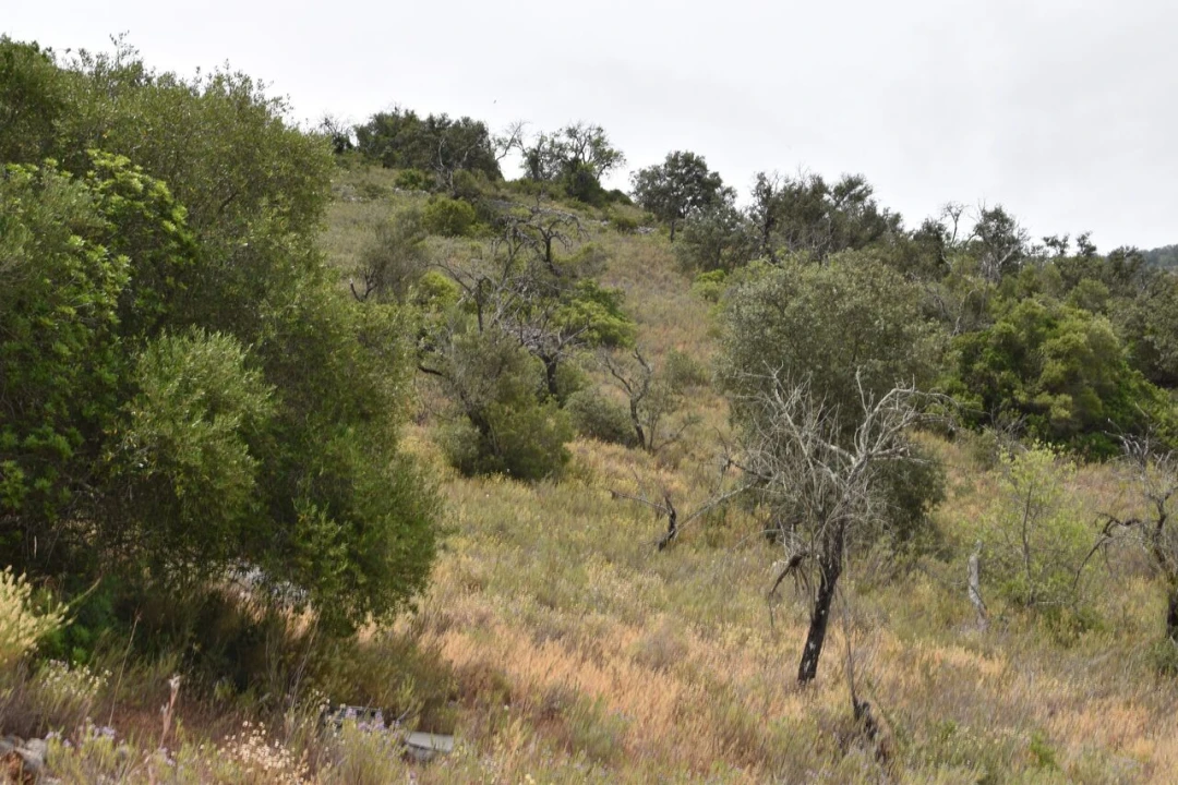 Terreno para Venda em Paderne Foto 8