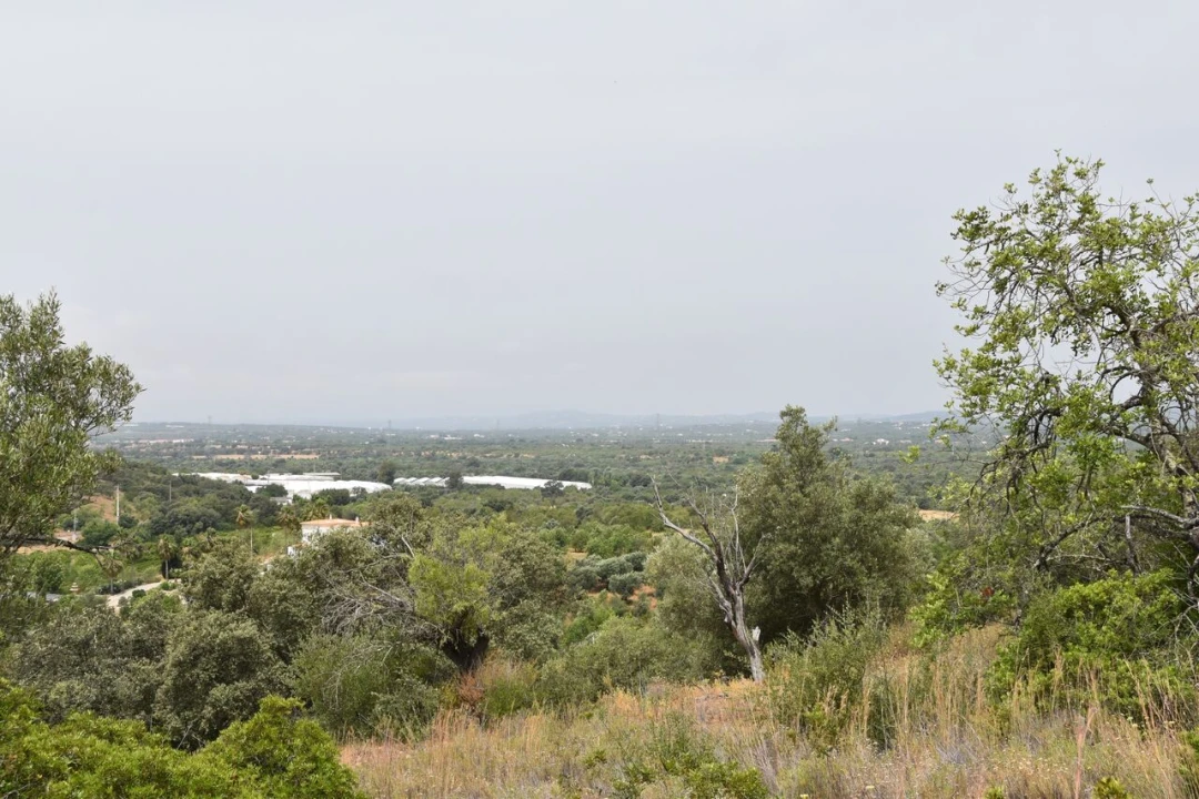 Terreno para Venda em Paderne Foto 13