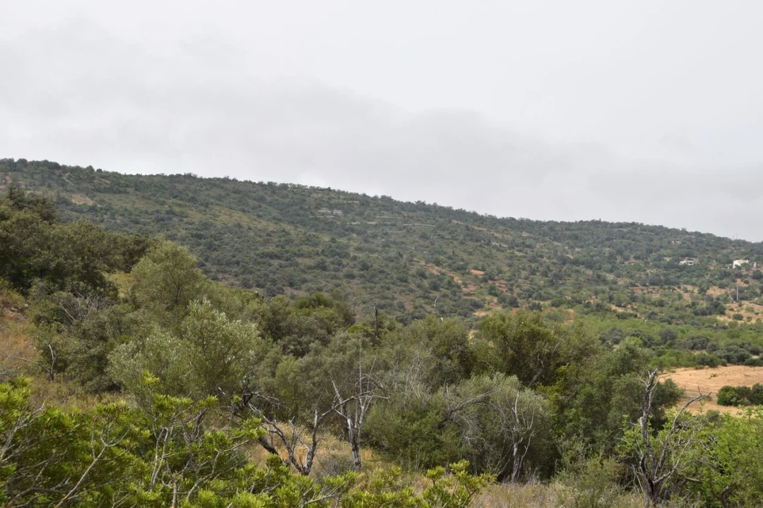 Terreno para Venda em Paderne Foto 14