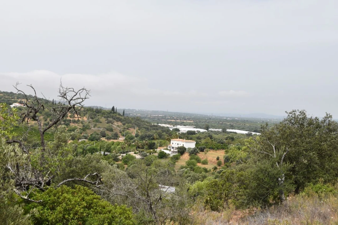 Terreno para Venda em Paderne Foto 15