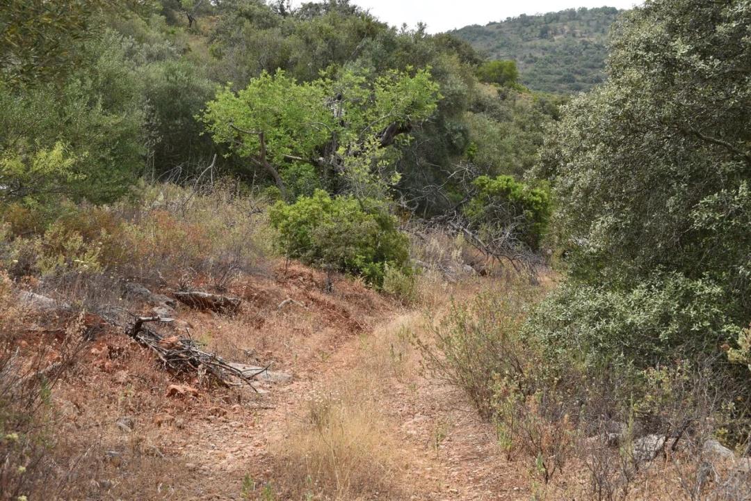 Terreno para Venda em Paderne Foto 17