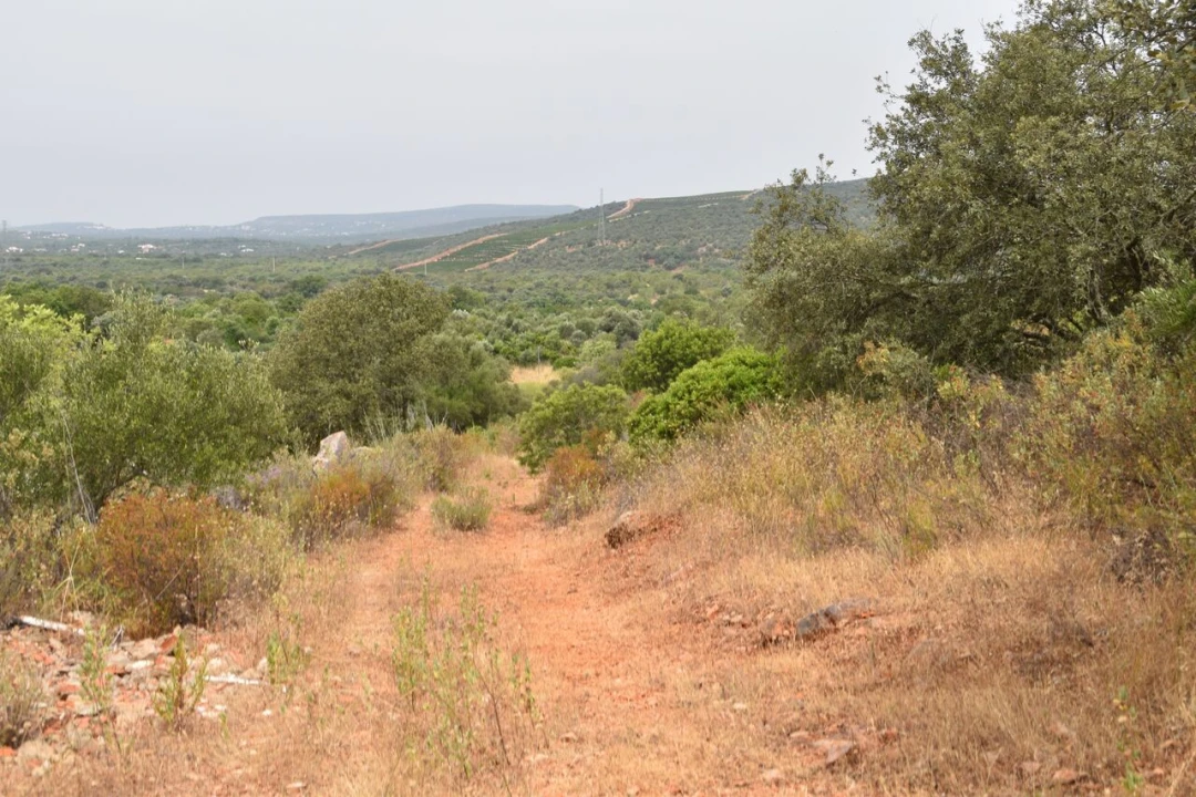 Terreno para Venda em Paderne Foto 19