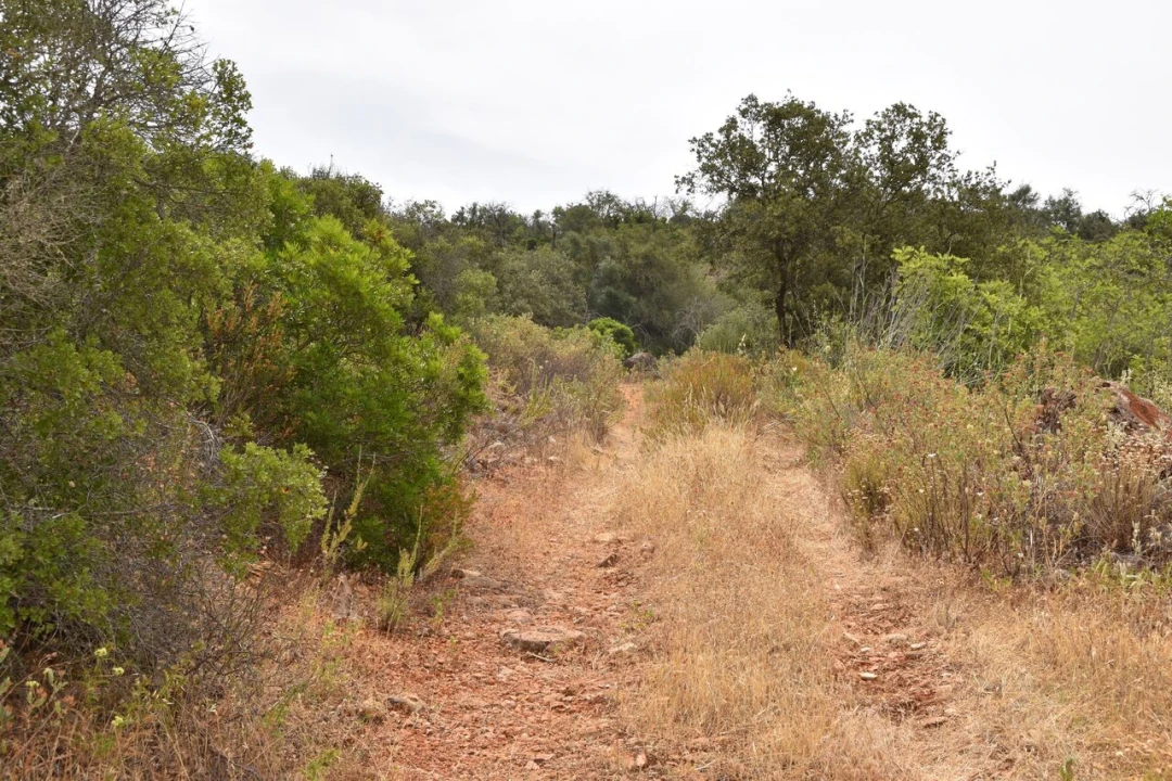 Terreno para Venda em Paderne Foto 20