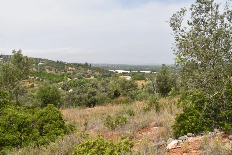 Terreno para Venda em Paderne Foto 2