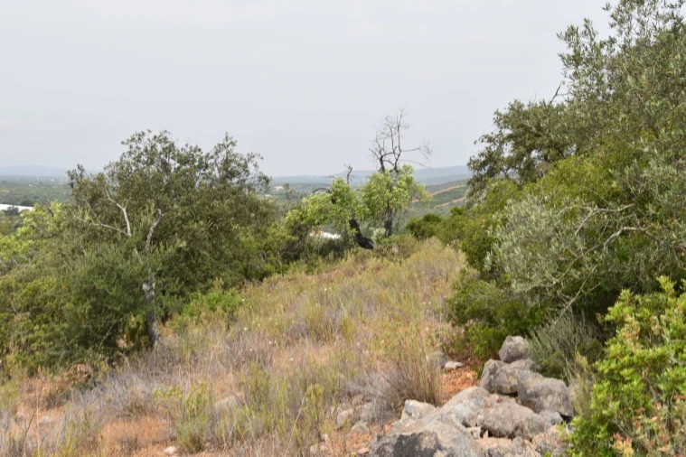 Terreno para Venda em Paderne Foto 9
