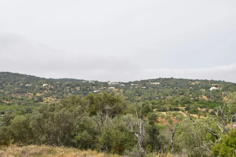 Terreno para Venda em Paderne Foto 1