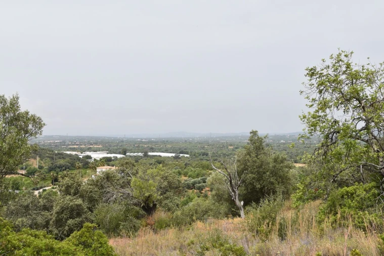 Terreno para Venda em Paderne Foto 13