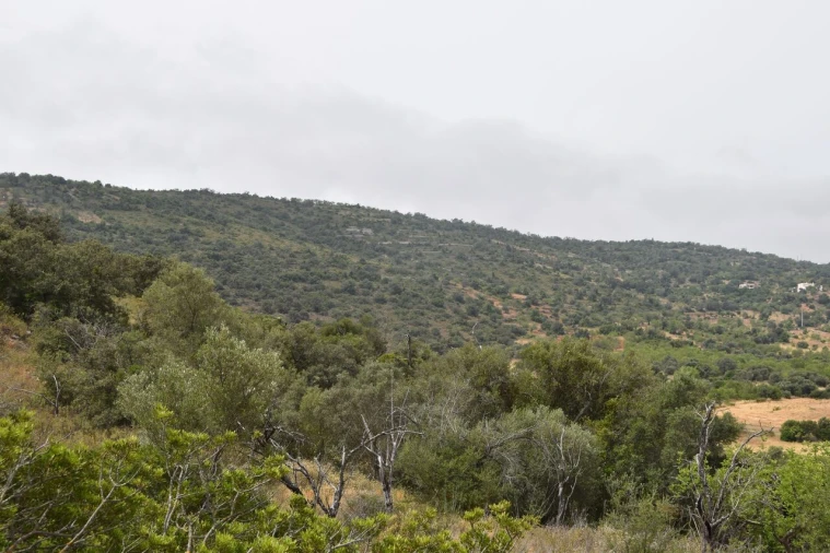Terreno para Venda em Paderne Foto 14