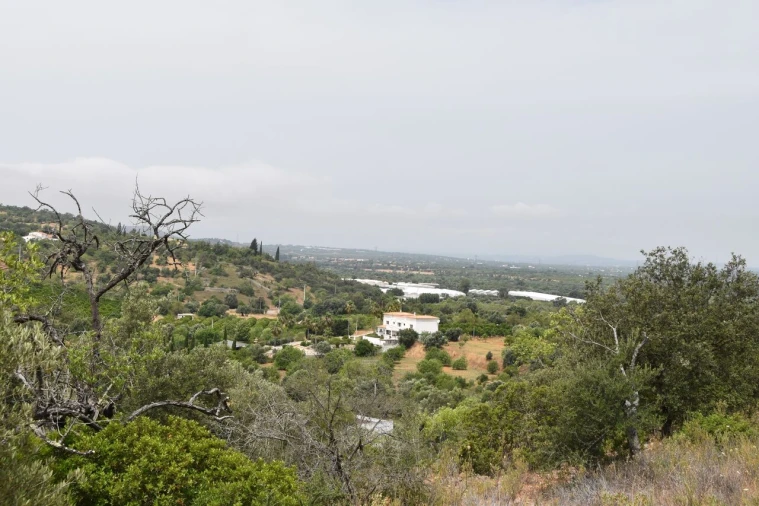 Terreno para Venda em Paderne Foto 15
