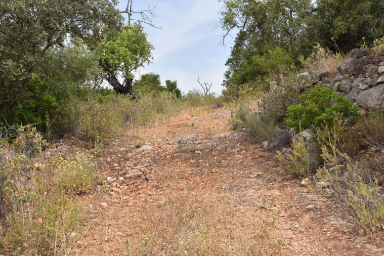 Terreno para Venda em Paderne Foto 16