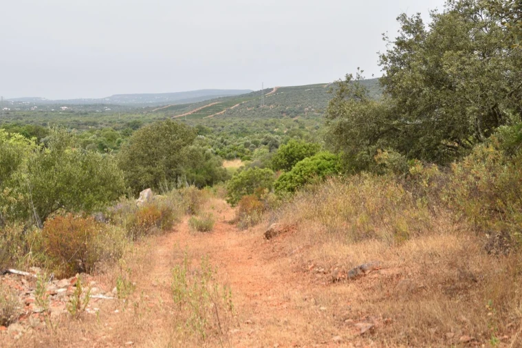 Terreno para Venda em Paderne Foto 19