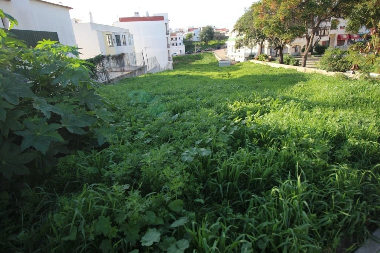 Terreno para Venda em Albufeira e Olhos de Água Foto 20