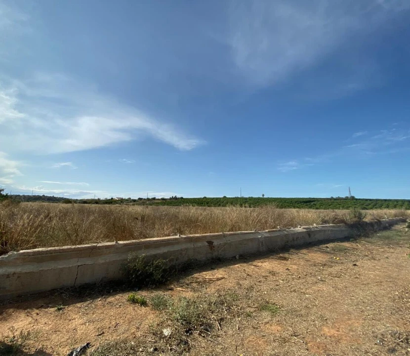 Quinta T8 para Venda em Quelfes Foto 5