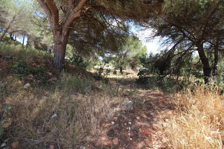 Terreno para Venda em Albufeira e Olhos de Água Foto 10