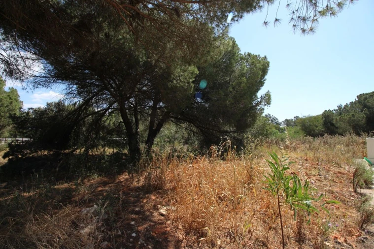 Terreno para Venda em Albufeira e Olhos de Água Foto 11