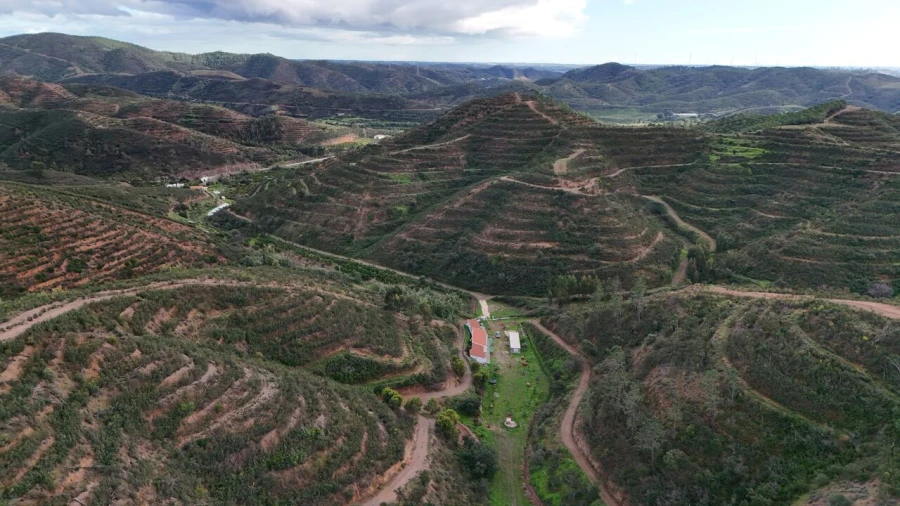 Quinta T2 para Venda em Alferce Foto 3