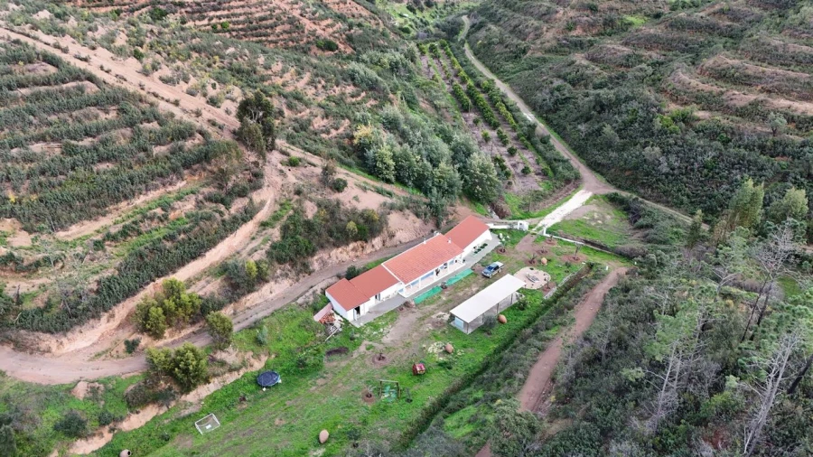 Quinta T2 para Venda em Alferce Foto 4