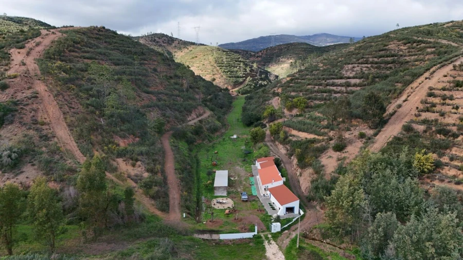 Quinta T2 para Venda em Alferce Foto 36