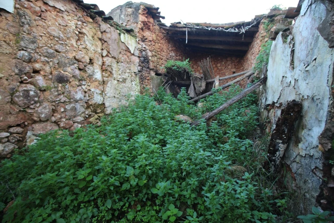 Moradia T1 para Venda em Alte Foto 7