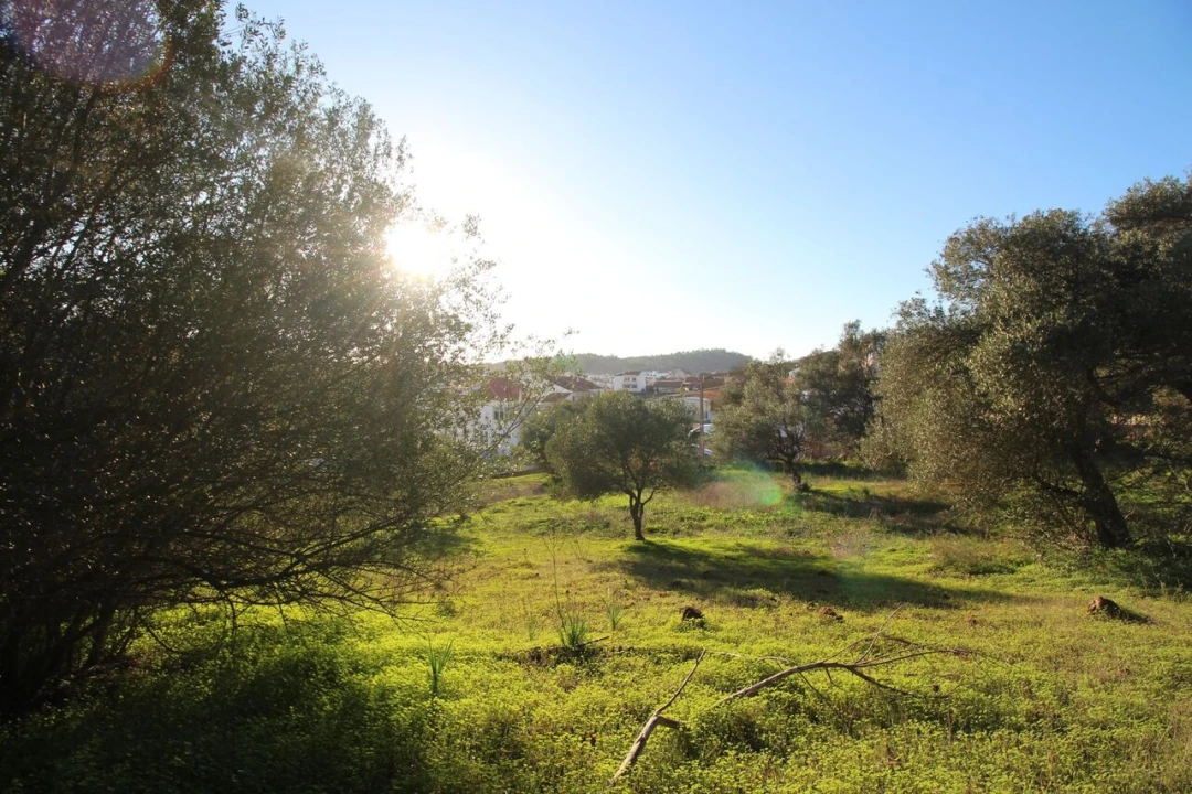 Terreno para Venda em São Bartolomeu de Messines Foto 19