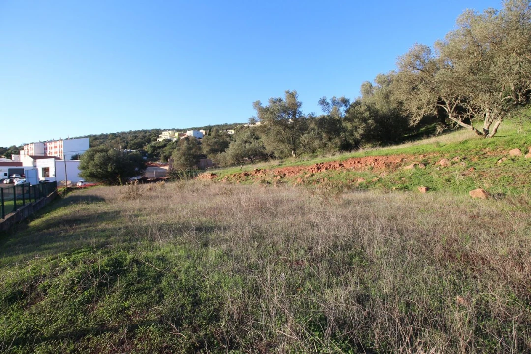 Terreno para Venda em São Bartolomeu de Messines Foto 23
