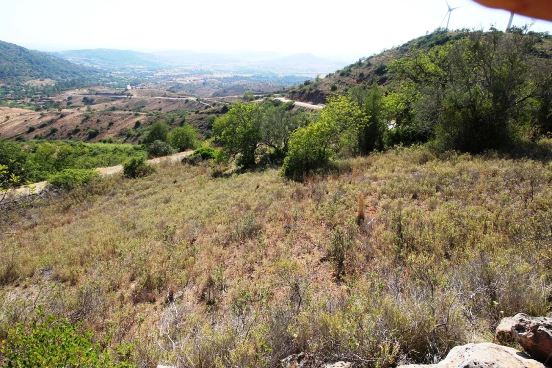 Terreno para Venda em São Bartolomeu de Messines Foto 12