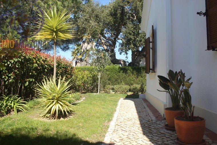 Moradia T3 para Venda em Barão de São Miguel Foto 19