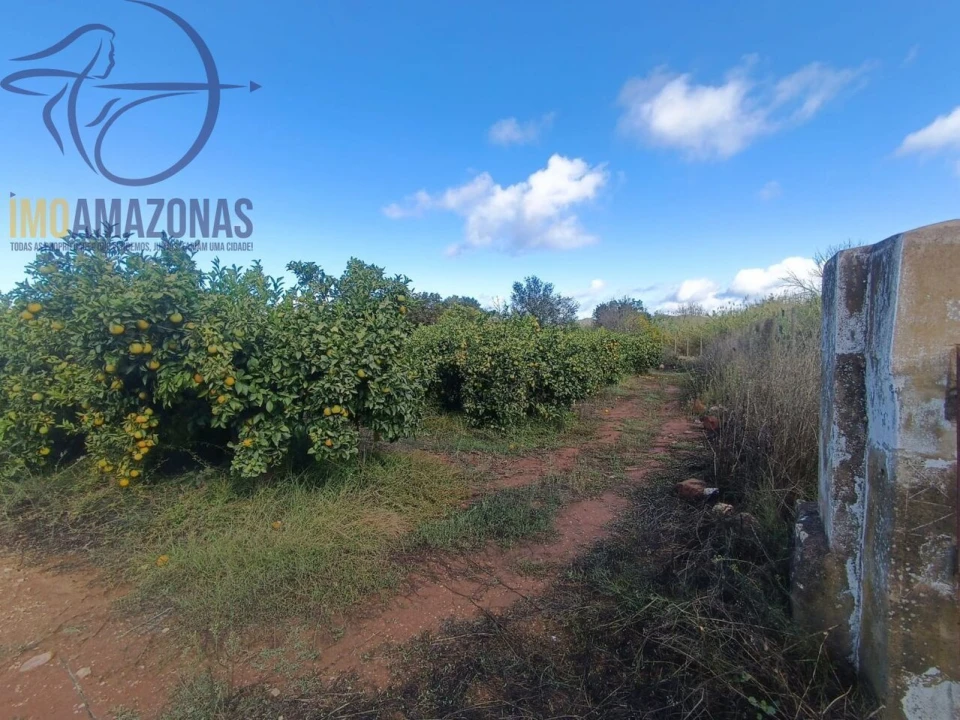 Terreno para Venda em Silves Foto 1